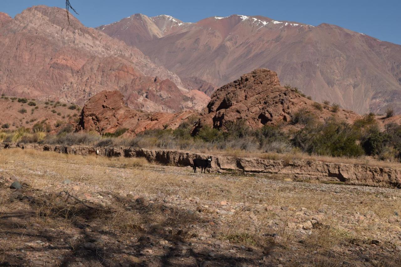 אוספז'טה Cabanas De Los Andes מראה חיצוני תמונה